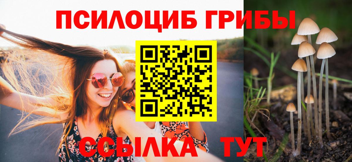 Шелехов  Псилоцибиновые грибы GOLDEN TEACHER  Вход с VPN 